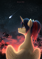 Size: 2480x3507 | Tagged: safe, artist:fenwaru, oc, oc only, oc:eternal light, alicorn, pony, alicorn oc, blue eyes, cloud, grass, high res, horn, leaves, male, ponytail, shooting star, stallion, stars, sunset, two toned mane, wings