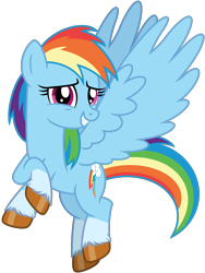 Size: 4116x5464 | Tagged: safe, artist:emeraldblast63, rainbow dash, pegasus, pony, g4, coat markings, female, g5 style, grin, looking at you, mare, redesign, simple background, smiling, socks (coat markings), solo, transparent background, unshorn fetlocks, vector
