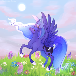 Size: 640x640 | Tagged: safe, artist:kokorokinda, princess luna, alicorn, pony, g4, alternate versions at source, clothes, cloud, crown, ethereal mane, female, flower, grass, jewelry, mare, reddit, regalia, shoes, solo, sun
