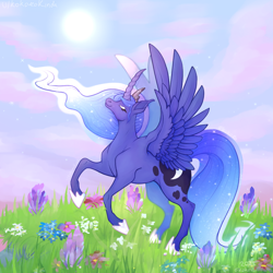 Size: 640x640 | Tagged: safe, alternate version, artist:kokorokinda, princess luna, alicorn, pony, g4, alternate versions at source, clothes, cloud, crown, ethereal mane, female, flower, grass, jewelry, mare, reddit, regalia, shoes, solo, sun