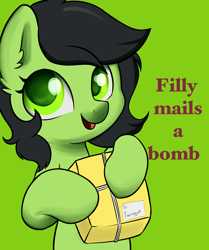 Size: 2730x3258 | Tagged: safe, artist:dumbwoofer, oc, oc:filly anon, earth pony, pony, bomb, ear fluff, female, filly, foal, high res, implied violence, looking at you, mail, open mouth, package, simple background, smiling, smiling at you, solo, string, text, weapon