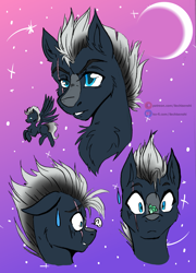 Size: 1587x2200 | Tagged: safe, artist:liechisenshi, oc, oc only, oc:platinum shadow, butterfly, pegasus, pony, bust, butterfly on nose, expressions, eye scar, facial scar, insect on nose, portrait, scar, sketchpage, solo
