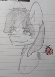 Size: 1477x2048 | Tagged: safe, artist:melody_visher, oc, oc only, insect, ladybug, lined paper, pencil drawing, solo, traditional art