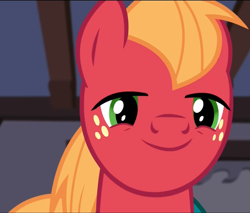 Size: 1696x1444 | Tagged: safe, screencap, big macintosh, earth pony, pony, filli vanilli, g4, season 4, implied fluttershy, looking at you, male, solo, stallion