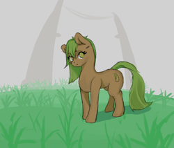 Size: 3500x3000 | Tagged: safe, artist:henko, oc, oc only, earth pony, pony, barcode, digital art, eyelashes, female, fog, full body, grass, high res, looking at you, mare, solo, tail