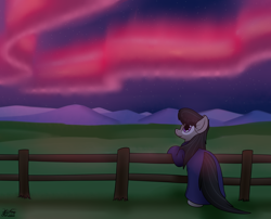Size: 3068x2480 | Tagged: safe, artist:the-furry-railfan, octavia melody, earth pony, pony, g4, aurora borealis, clothes, female, fence, grass, grass field, high res, mare, mountain, mountain range, night, robes, smiling, solo