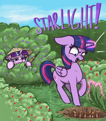 Size: 2435x2785 | Tagged: safe, artist:t72b, starlight glimmer, twilight sparkle, alicorn, pony, unicorn, g4, angry, bush, cross-popping veins, emanata, flower, garden, gun, hat, hiding, high res, historical roleplay starlight, hole, looking down, magic, open mouth, pitfall, punji sticks, rage, rifle, s5 starlight, smiling, spikes, straw hat, this will end in communism, trap (device), twilight sparkle (alicorn), vietcong, vietnam, vietnam war, weapon, yelling