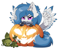 Size: 1500x1261 | Tagged: safe, alternate character, alternate version, artist:arctic-fox, part of a set, oc, oc only, oc:delta dart, hippogriff, commission, hippogriff oc, mouth hold, pumpkin, simple background, solo, transparent background, ych result