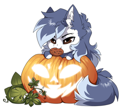 Size: 1500x1351 | Tagged: safe, alternate character, alternate version, artist:arctic-fox, part of a set, oc, oc only, oc:ash wing, earth pony, pony, commission, cookie, food, mouth hold, pumpkin, simple background, solo, transparent background, ych result