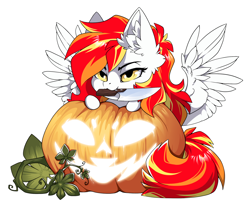 Size: 1500x1239 | Tagged: safe, alternate character, alternate version, artist:arctic-fox, part of a set, oc, oc only, oc:diamond sun, pegasus, pony, commission, knife, mouth hold, pumpkin, simple background, solo, transparent background, ych result