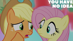 Size: 1280x720 | Tagged: safe, edit, edited screencap, editor:quoterific, screencap, applejack, fluttershy, earth pony, pegasus, pony, g4, sounds of silence, duo, duo female, female, frown, looking at each other, looking at someone, mare, open mouth, whispering