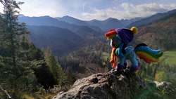 Size: 1192x670 | Tagged: safe, artist:mgrdash, rainbow dash, pegasus, pony, g4, clothes, endangering plushies, folded wings, forest, hat, hill, irl, mountain, photo, plushie, scarf, scenery, solo, tree, wings