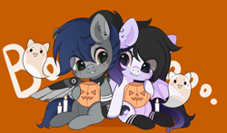 Size: 3000x1767 | Tagged: safe, artist:yomechka, oc, oc only, ghost, pegasus, pony, undead, chibi, clothes, commission, duo, eye clipping through hair, pegasus oc, pumpkin bucket, sitting, smiling, socks, ych result