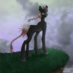 Size: 1500x1500 | Tagged: safe, artist:muakki07, oc, oc only, earth pony, pony, cliff, cloud, cloudy, earth pony oc, full body, looking back, solo, wind