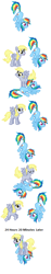 Size: 198x1054 | Tagged: safe, derpy hooves, rainbow dash, pegasus, pony, g4, comic, flying, picture for breezies, simple background, text, wat, white background