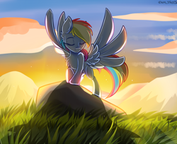 Size: 1580x1288 | Tagged: safe, artist:yuris, rainbow dash, pegasus, pony, g4, backlighting, chest fluff, crepuscular rays, ear fluff, ears up, eyes closed, female, field, grass, grass field, outdoors, shoulder fluff, slender, solo, spread wings, standing, stone, sunset, thin, turned head, wings
