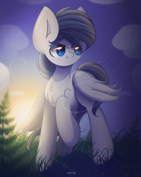 Size: 1800x2250 | Tagged: safe, artist:miryelis, oc, oc only, pegasus, pony, cloud, commission, full body, grass, high res, male, outdoors, pegasus oc, raised hoof, short hair, signature, sky, smiling, solo, stallion, standing, sun, sunset, wings