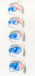 Size: 1920x4183 | Tagged: safe, artist:ja0822ck, pony, big eyes, brain, cyriak, evolution, eye, eyes, not salmon, organs, traditional art, wat