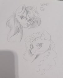 Size: 875x1080 | Tagged: safe, artist:ske, pinkie pie, oc, oc only, earth pony, pony, looking at you, sketch, smiling, solo, traditional art