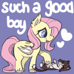 Size: 600x600 | Tagged: safe, artist:lastunicorn666, fluttershy, bat pony, cat, pony, g4, bat ponified, cute, fangs, flutterbat, heart, missing cutie mark, pet oc, purple background, race swap, shyabetes, simple background