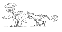 Size: 1049x549 | Tagged: safe, artist:mellodillo, gallus, silverstream, classical hippogriff, griffon, hippogriff, g4, black and white, duo, female, grayscale, male, monochrome, pencil drawing, simple background, traditional art, white background