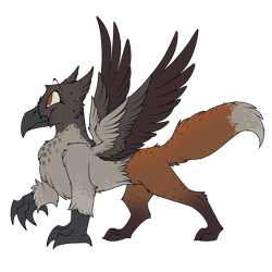 Size: 2100x2100 | Tagged: safe, artist:molars, oc, oc only, oc:keepers, bird, fox, griffon, magpie, character design, claws, corvid, fox tail, high res, orange eyes, orange fur, reference sheet, simple background, solo, spread wings, tail, talons, transparent background, wings