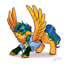 Size: 3000x3000 | Tagged: safe, artist:opalacorn, oc, oc only, pegasus, pony, clothes, high res, hoodie, simple background, solo, spread wings, white background, wings