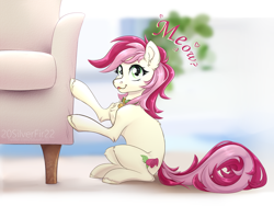Size: 4000x3000 | Tagged: safe, artist:silverfir111, roseluck, earth pony, pony, g4, behaving like a cat, collar, commission, commissioner:doom9454, cute, daaaaaaaaaaaw, meow, pet tag, pony pet, rosepet, solo