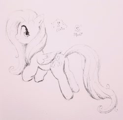 Size: 2048x2002 | Tagged: safe, artist:fipoki, fluttershy, pegasus, pony, g4, butt, cute, female, flutterbutt, folded wings, grayscale, high res, looking back, mare, monochrome, plot, shyabetes, signature, simple background, sketch, solo, wings