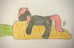 Size: 3750x2470 | Tagged: safe, artist:hardrock, oc, oc:rosetta hask, pegasus, pony, carrot, food, high res, pencil drawing, sleeping, solo, traditional art
