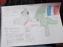 Size: 4000x3000 | Tagged: safe, artist:super-coyote1804, pegasus, pony, book, drawing, flag, formula 1, france, french, french flag, jules bianchi, memorial, pencil drawing, photo, ponified, smiling, solo, traditional art