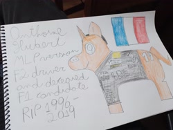 Size: 4000x3000 | Tagged: safe, artist:super-coyote1804, pony, unicorn, anthoine hubert, clothes, formula 1, formula 2, france, french, french flag, memorial, pencil drawing, photo, ponified, shirt, smiling, solo, traditional art