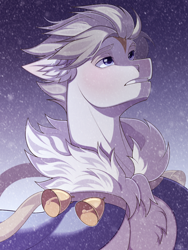 Size: 2500x3333 | Tagged: safe, artist:shchavel, oc, earth pony, pony, bell, bust, chest fluff, colored, high res, portrait, shading, short mane, simple background, snow, snowfall, solo, sternocleidomastoid