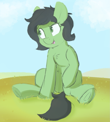 Size: 967x1077 | Tagged: artist needed, safe, oc, oc only, oc:filly anon, pony, female, filly, grass, solo