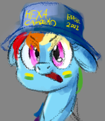 Size: 536x621 | Tagged: safe, artist:anonymous, rainbow dash, pegasus, pony, g4, brazil, bust, face paint, female, floppy ears, football, hat, looking at you, mare, open mouth, solo, world cup