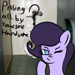 Size: 5000x5000 | Tagged: safe, artist:houndy, oc, oc:jester quinn, bathroom, bathroom stall, looking at you, meme, one eye closed, photo, public bathroom, shitposting, smug, text, toilet, toilet paper, wink, winking at you