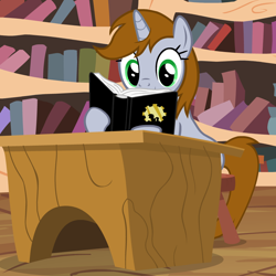 Size: 850x850 | Tagged: safe, artist:sasha-flyer, oc, oc only, oc:littlepip, pony, unicorn, fallout equestria, animated, animated png, blushing, book, golden oaks library, library, reading, show accurate, solo, vector