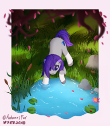 Size: 1949x2240 | Tagged: safe, artist:autumnsfur, oc, oc only, oc:glitter stone, earth pony, pony, g4, g5, afternoon, artwork, blue eyes, blurr, blurry, boulder, curious, detailed background, digital art, earth pony oc, eyelashes, falling leaves, female, flower, grass, gray coat, gray fur, hooves, leaves, lilypad, logo, long hair, long tail, looking down, mare, multicolored hair, multicolored tail, nature, overhead view, pink leaves, pond, pondering, pony oc, purple hair, purple mane, purple tail, reeds, river, rock, signature, simple background, stone, tail, text, tree, water, watermark, wet, white background
