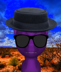 Size: 475x559 | Tagged: safe, anonymous artist, oc, earth pony, pony, 3d pony creator, angry, desert, hat, male, solo, stallion, sunglasses