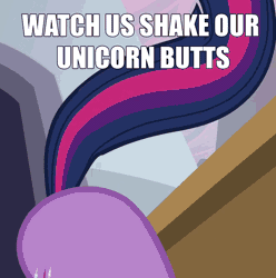 Size: 650x656 | Tagged: safe, edit, edited screencap, screencap, twilight sparkle, pony, unicorn, a canterlot wedding, g4, g5, my little pony: a new generation, animated, ass up, booty booty booty booty rockin' everywhere, both cutie marks, butt, butt only, butt shake, caption, cropped, female, fit right in (g5), gif, image macro, plot, solo, sunshine sunshine, tail, tail wag, text, twibutt, unicorn twilight, watch us shake our unicorn butts