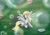Size: 1754x1240 | Tagged: safe, artist:lavenderrain24, derpy hooves, pegasus, pony, g4, blowing bubbles, bubble, bubble wand, cute, derpabetes, female, happy, hoof hold, mare, open mouth, open smile, smiling, solo, spread wings, wings