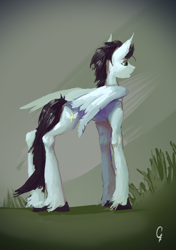 Size: 2028x2880 | Tagged: safe, artist:thelordgemm, soarin', pegasus, pony, g4, high res, long legs, male, old cutie mark, skinny, solo, tall, thin
