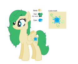 Size: 1280x1056 | Tagged: safe, artist:kiracatastic, oc, oc only, pegasus, pony, female, mare, pegasus oc, reference sheet, simple background, solo, story included, white background, wings