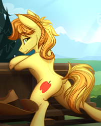 Size: 1668x2071 | Tagged: safe, artist:alrumoon_art, braeburn, earth pony, pony, g4, bench, butt, cel shading, commission, looking at you, male, missing accessory, outdoors, plot, shading, solo, stallion, stupid sexy braeburn, tail, two toned mane, two toned tail, ych result