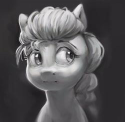 Size: 2916x2829 | Tagged: safe, artist:inkhooves, sunny starscout, earth pony, pony, g5, braid, braided ponytail, bust, female, grayscale, high res, mare, monochrome, ponytail, solo