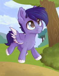 Size: 1389x1780 | Tagged: safe, artist:kaylemi, oc, oc only, pegasus, pony, chest fluff, colt, foal, male, pegasus oc, solo