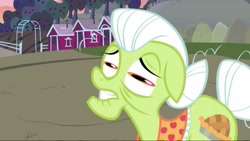 Size: 1280x720 | Tagged: safe, screencap, granny smith, earth pony, pony, g4, the perfect pear, great moments in animation, rectangular pupil, smear frame, sweet apple acres, weird eyes