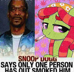 Size: 800x772 | Tagged: safe, artist:moozua, edit, tree hugger, earth pony, human, pony, g4, drugs, irl, irl human, marijuana, meme, photo, snoop dogg