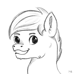 Size: 4134x4134 | Tagged: safe, artist:palettenight, pony, bust, commission, portrait, sketch, smiling, solo, your character here