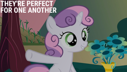 Size: 1920x1080 | Tagged: safe, edit, edited screencap, editor:quoterific, screencap, sweetie belle, pony, unicorn, g4, hearts and hooves day (episode), female, filly, flower, foal, grin, implied big macintosh, implied cheerilee, implied cheerimac, implied shipping, implied straight, raised hoof, shipper on deck, smiling, solo, vase